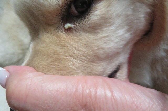 ファイル 6548-5.jpg