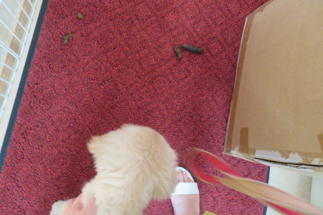 ファイル 6550-1.jpg