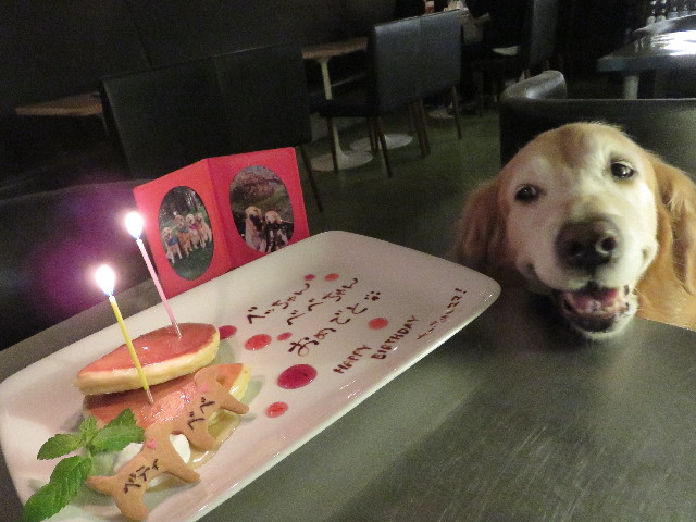 ファイル 6551-4.jpg