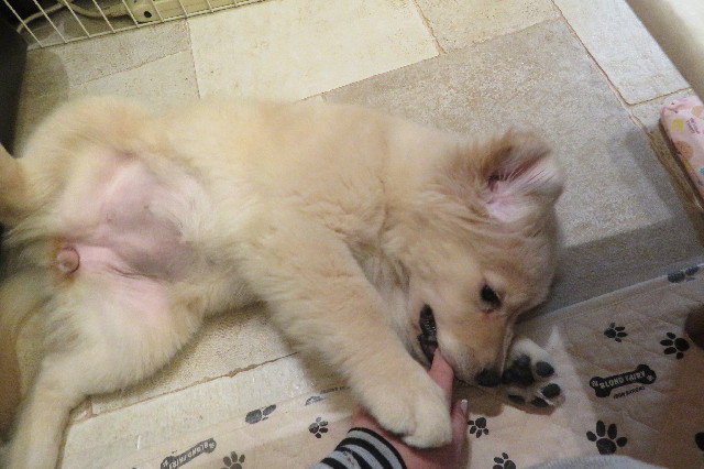 ファイル 6553-2.jpg