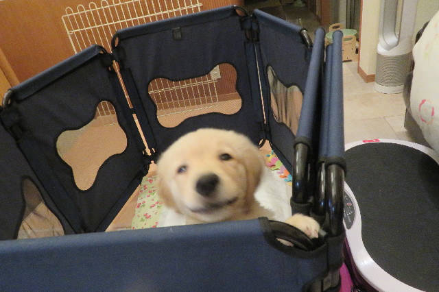 ファイル 6554-4.jpg