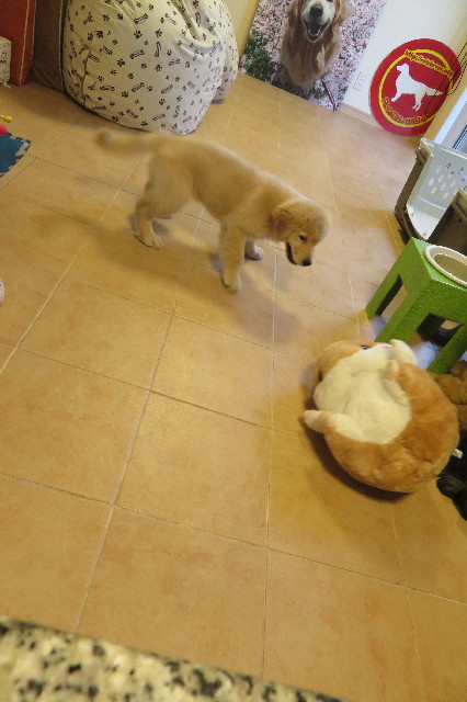 ファイル 6556-4.jpg