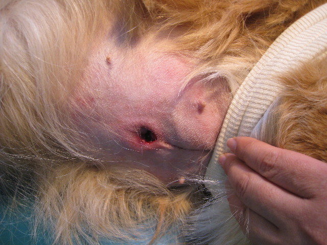 ファイル 656-3.jpg