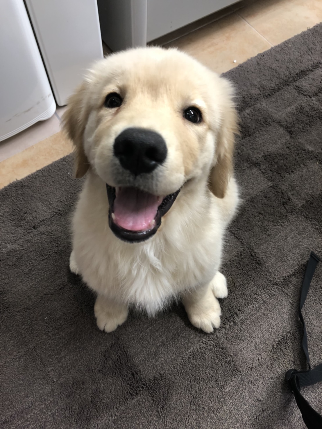 ファイル 6560-1.jpg