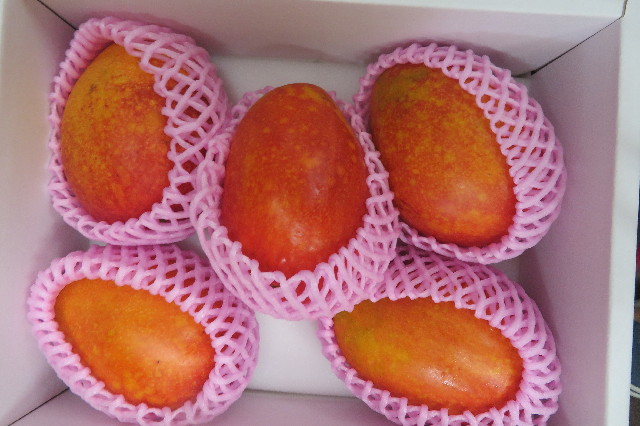 ファイル 6560-3.jpg