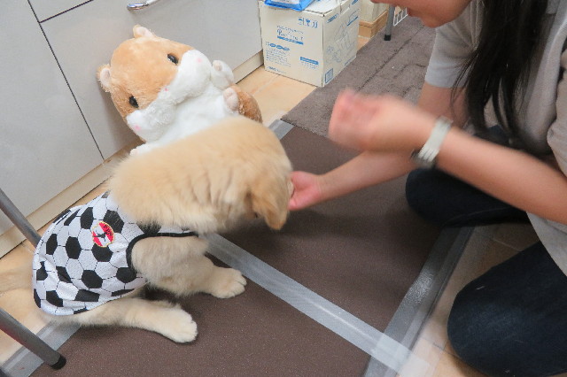 ファイル 6562-2.jpg