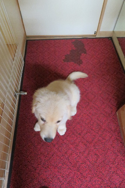 ファイル 6562-4.jpg