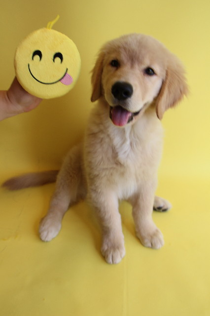 ファイル 6563-2.jpg