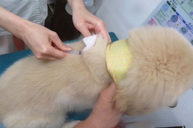 ファイル 6564-3.jpg