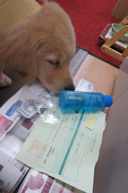 ファイル 6564-4.jpg