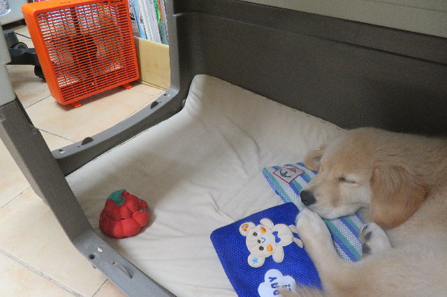 ファイル 6564-5.jpg