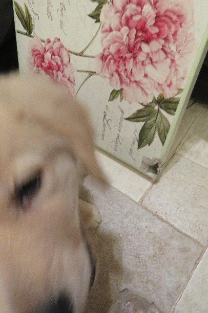 ファイル 6566-3.jpg