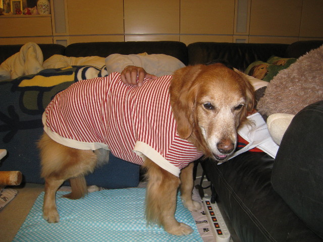 ファイル 657-4.jpg