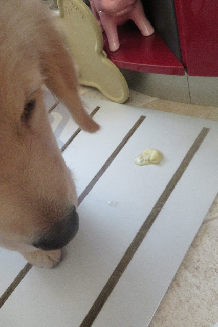 ファイル 6574-1.jpg