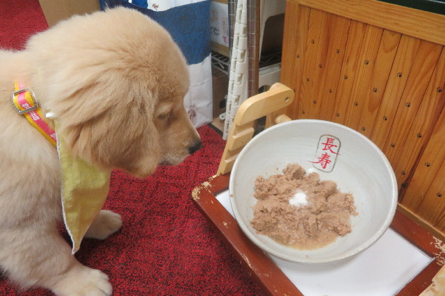 ファイル 6574-4.jpg