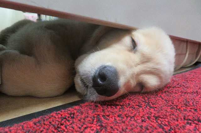 ファイル 6574-5.jpg