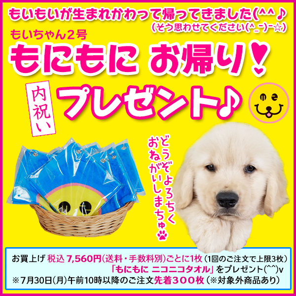 ファイル 6575-1.png