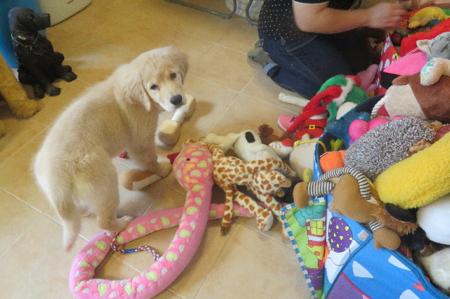 ファイル 6575-2.jpg