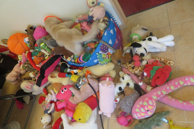 ファイル 6575-5.jpg