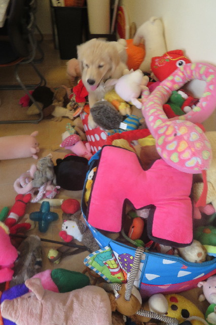 ファイル 6576-3.jpg