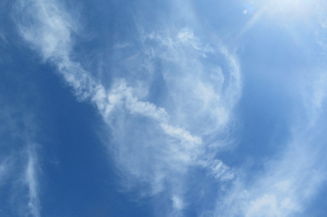 ファイル 6579-1.jpg