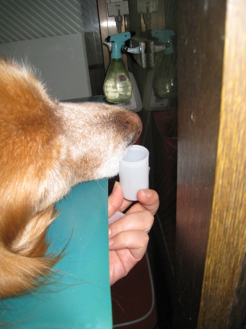 ファイル 658-1.jpg