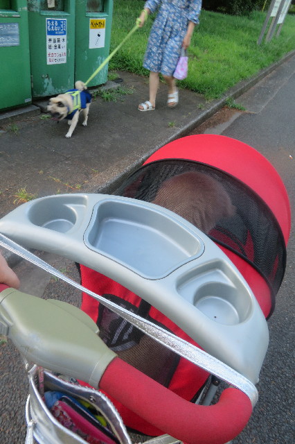 ファイル 6580-4.jpg