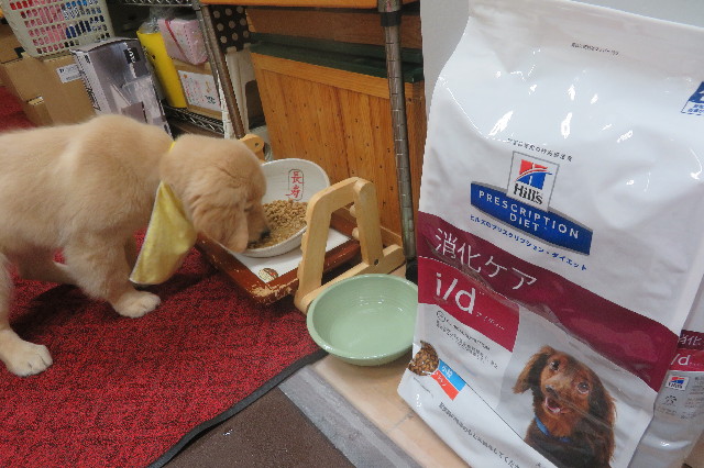 ファイル 6584-1.jpg