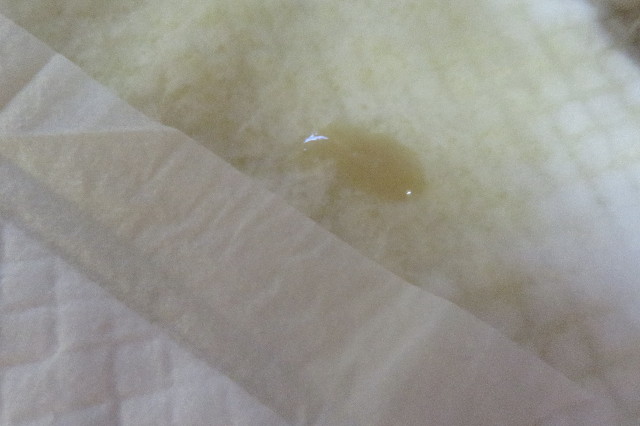 ファイル 6584-3.jpg