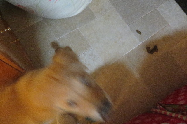 ファイル 6584-4.jpg