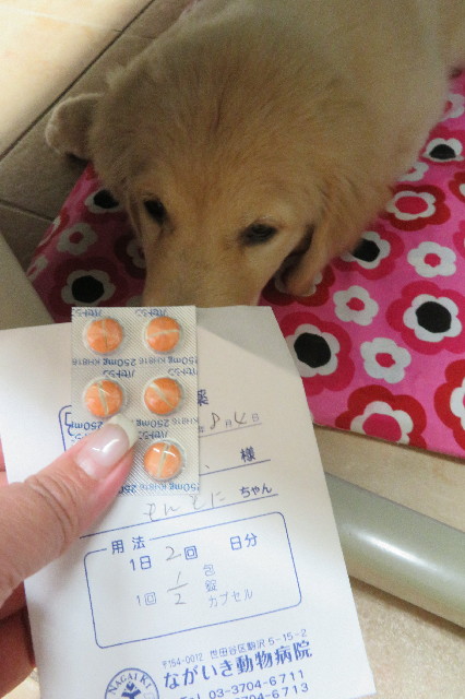 ファイル 6585-2.jpg