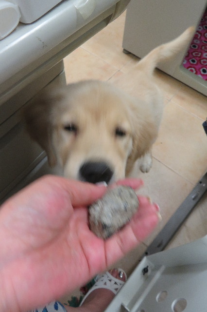 ファイル 6587-1.jpg