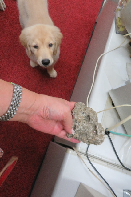 ファイル 6587-2.jpg