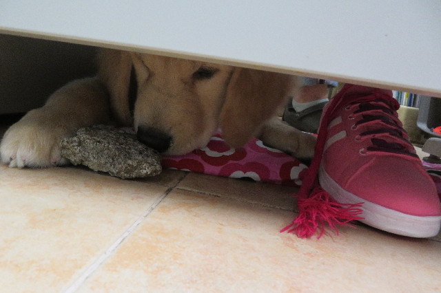 ファイル 6587-3.jpg