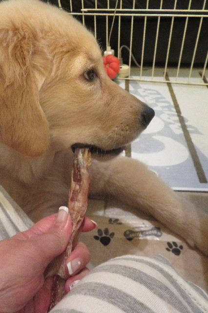 ファイル 6588-3.jpg