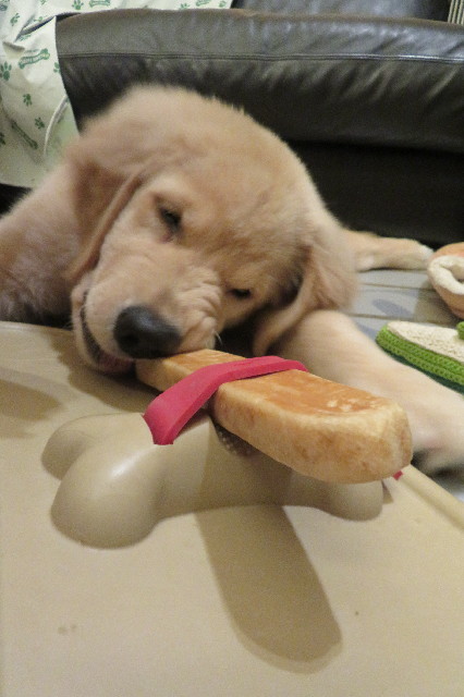 ファイル 6588-4.jpg