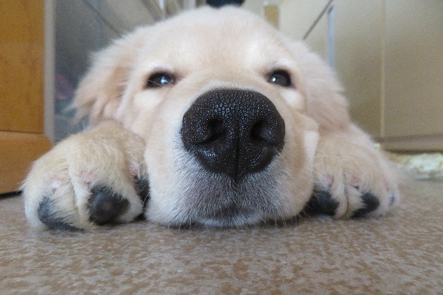 ファイル 6589-4.jpg