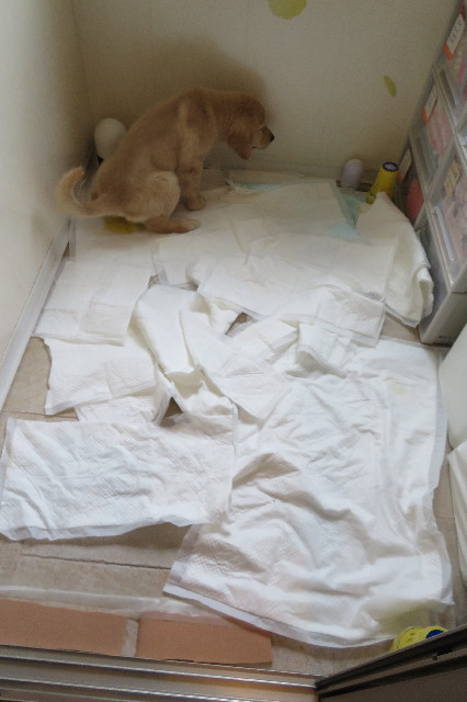 ファイル 6590-3.jpg