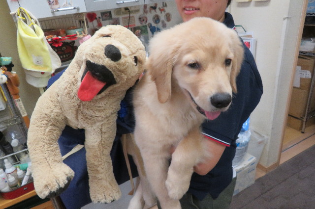 ファイル 6590-4.jpg