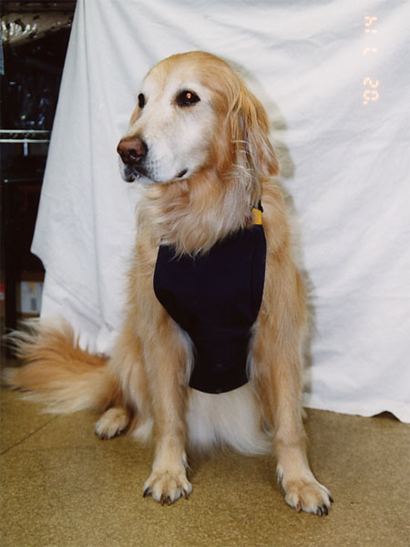 ファイル 6595-4.jpg