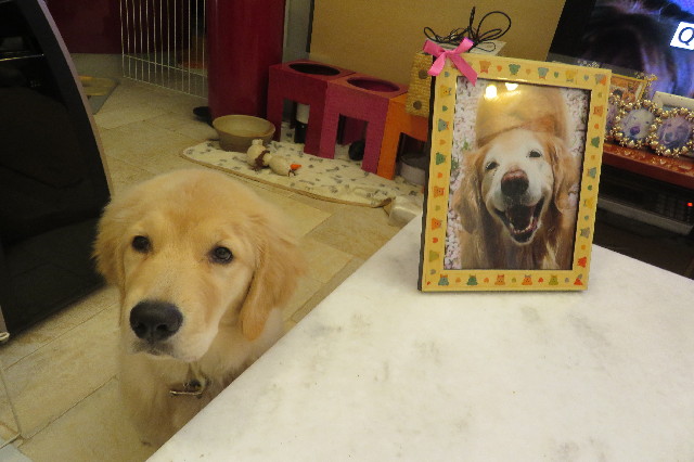 ファイル 6597-5.jpg