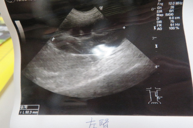 ファイル 6601-5.jpg