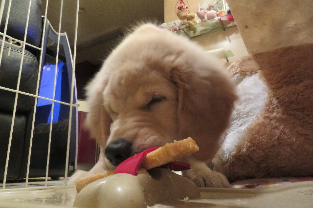 ファイル 6603-1.jpg