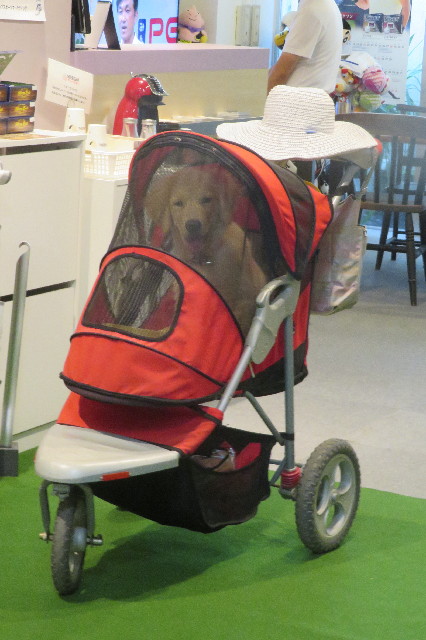 ファイル 6604-2.jpg