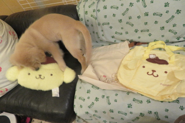 ファイル 6605-4.jpg