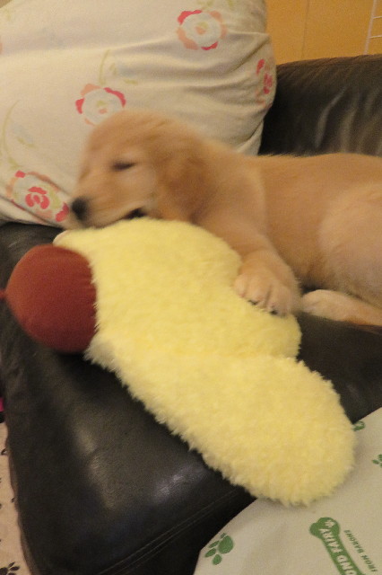 ファイル 6605-5.jpg