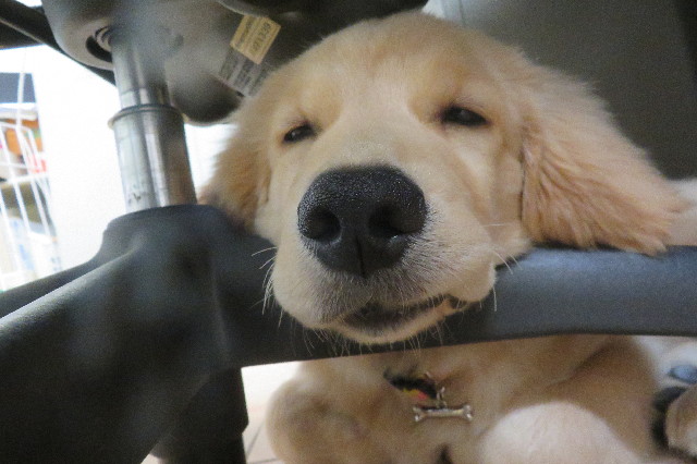 ファイル 6606-1.jpg