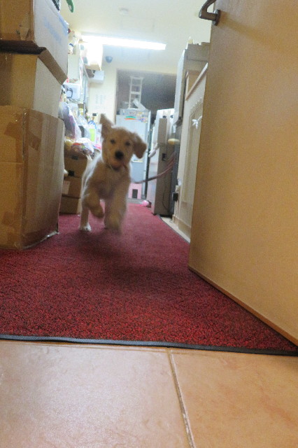 ファイル 6606-5.jpg