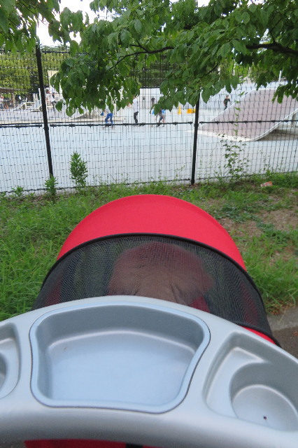 ファイル 6608-3.jpg