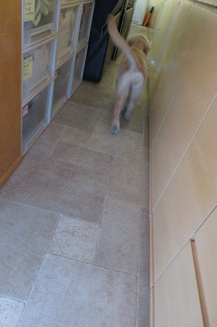 ファイル 6609-2.jpg